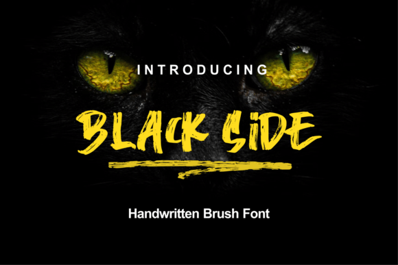 Black Side: A Bold, Unapologetic Display Font